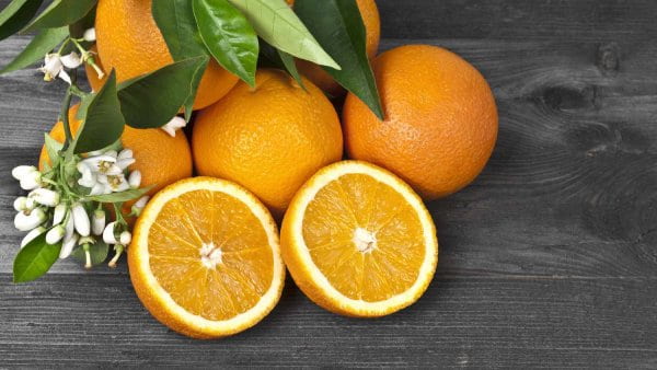 تصویر 3 از قیمت خرید پرتقال شیرین + فروش ویژه